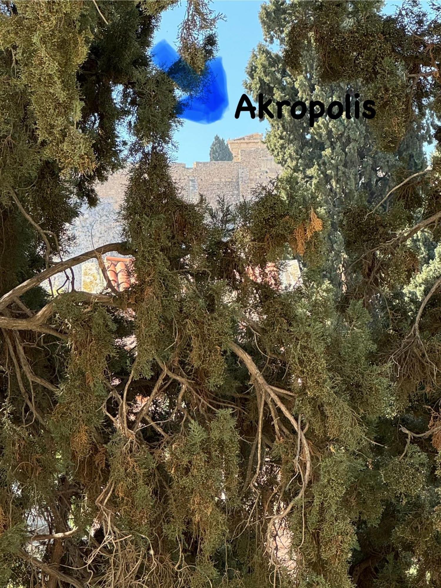 Plaka K15 Apartamento Atenas Exterior foto